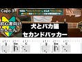 犬とバカ猫 セカンドバッカー ギター コード 弾き語り 初心者向け 簡単