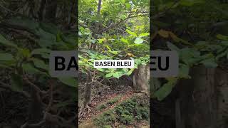 BASEN BLEU PART 4