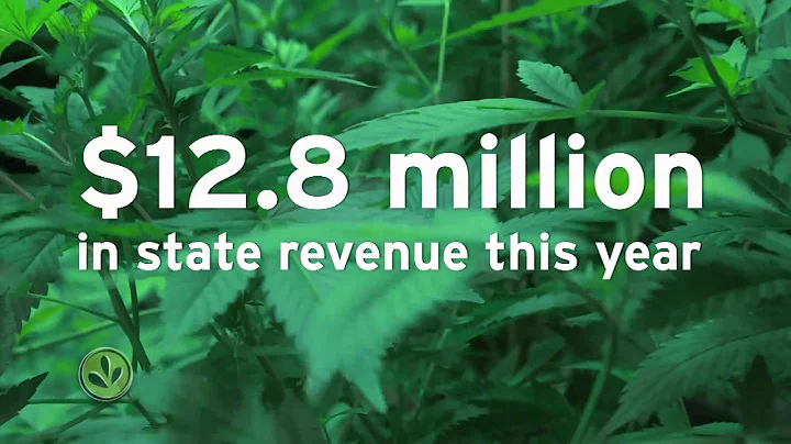 Marijuana Faces a Pesticide Test