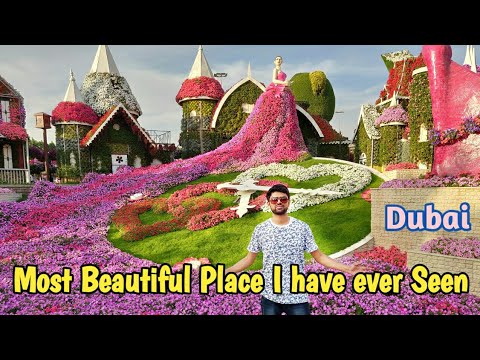 वीडियो: दुनिया का अरब आश्चर्य: दुबई में फूल पार्क Flower