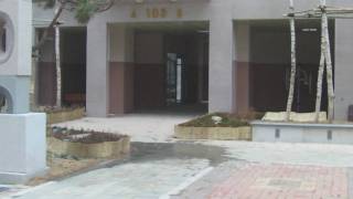 The courtyard.