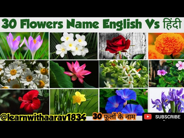 Flowers Name In English And Hindi With