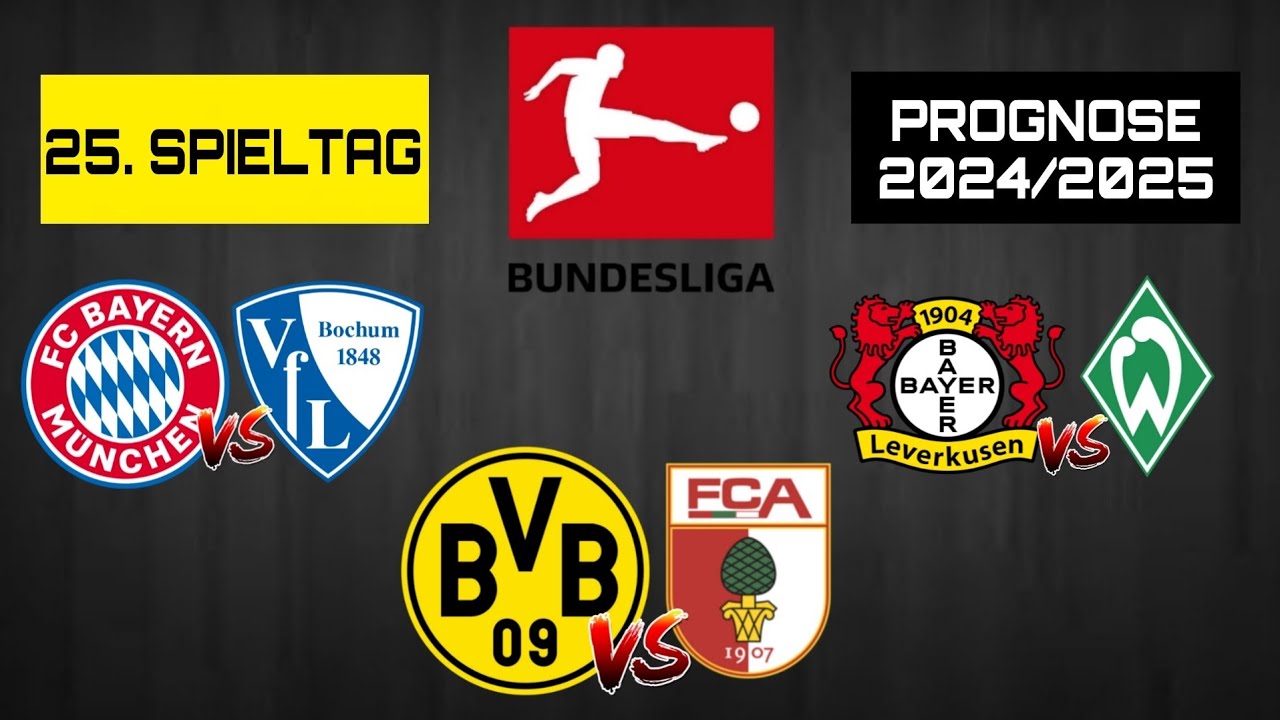 teilnehmer: borussia dortmund gegen fc augsburg statistiken