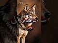 لن تغادر حياتي مثل لص هناك طز انيقه حياة حكم أقوال  إلهام تحفيز نصائح حياتية