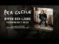 PER GESSLE — &quot;Nypon Och Ljung&quot; (Subtítulos Español - Sueco)