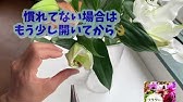 百合の花粉を上手に取る方法 花を傷つけずに取る解説を動画でご説明します Youtube