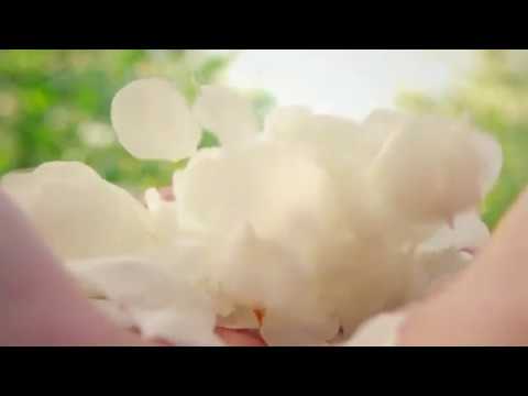 كتاب الرقص مع الحياة الحلقة 46 كن قائدا لسفينة حياتك