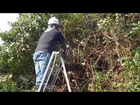 福岡サービスセンター