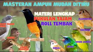 Masteran Isian Vokal Paling Lengkap Mudah Ditiru