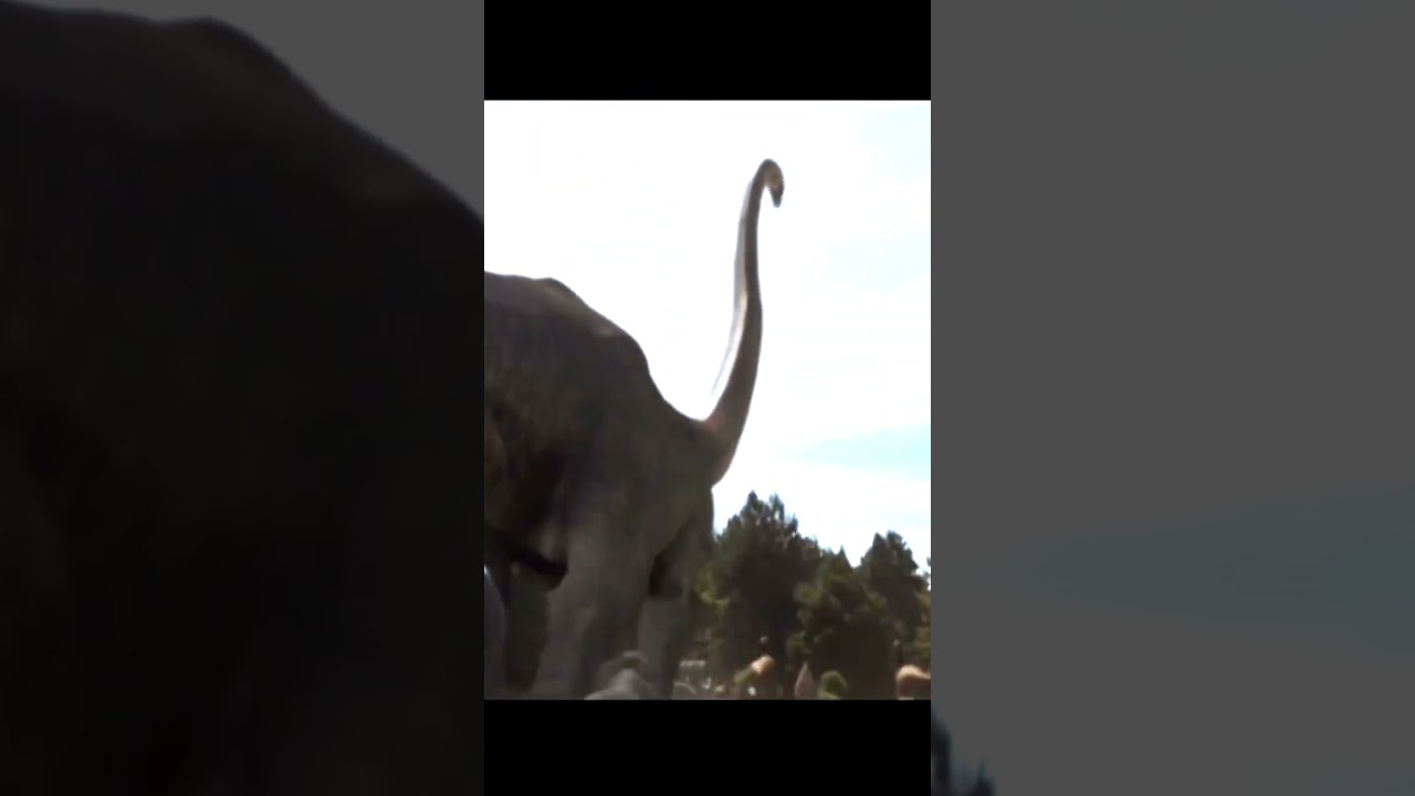Dreadnoughtus vs mamenchisaurus 