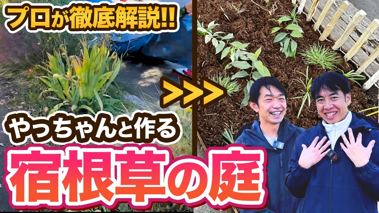 お庭リニューアル！やっちゃんと作る宿根草の庭！【ゆるふわ園芸やっちゃんねる】【アナベル】【アガパンサス】