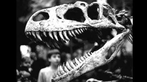 CREATION COM INFOMERCIAL