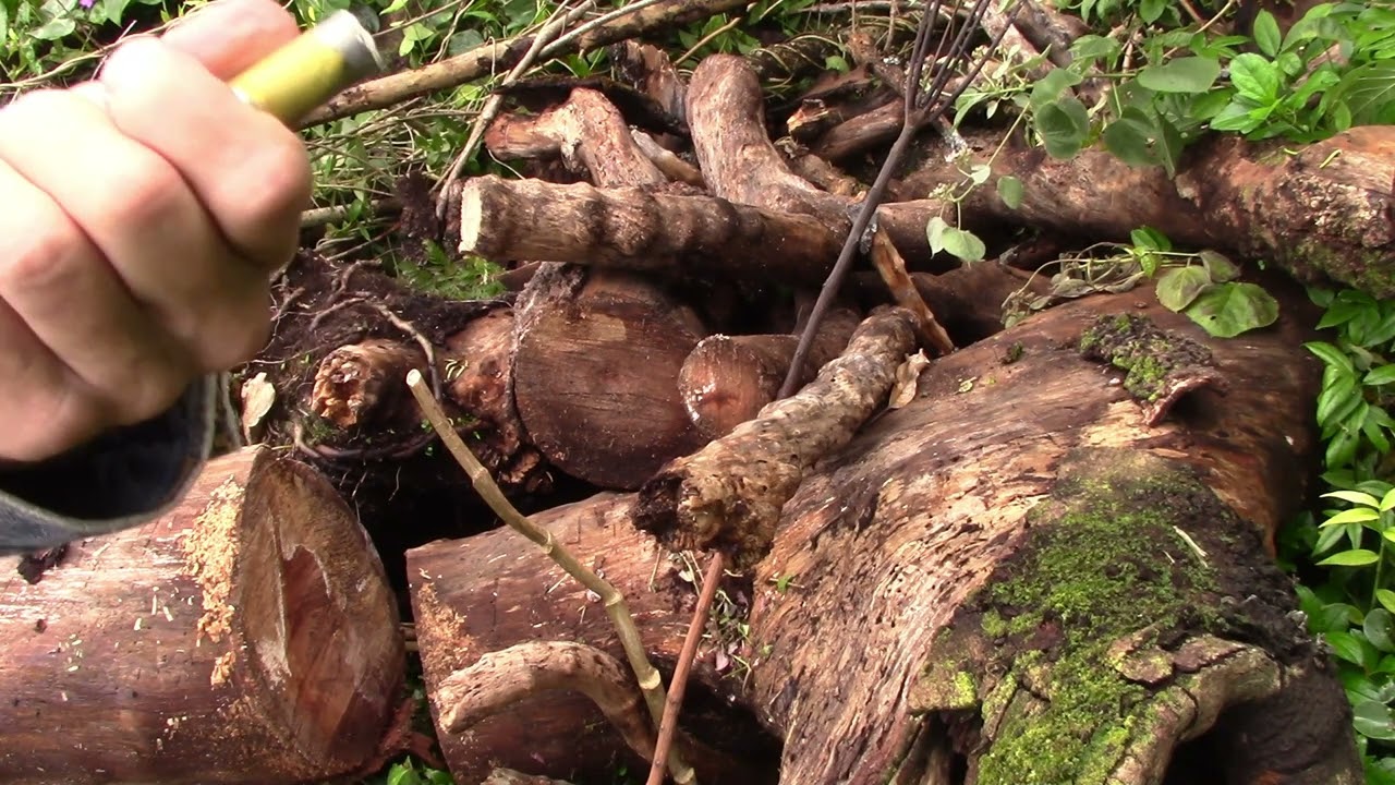 Testing DIY powerhead/bangstick