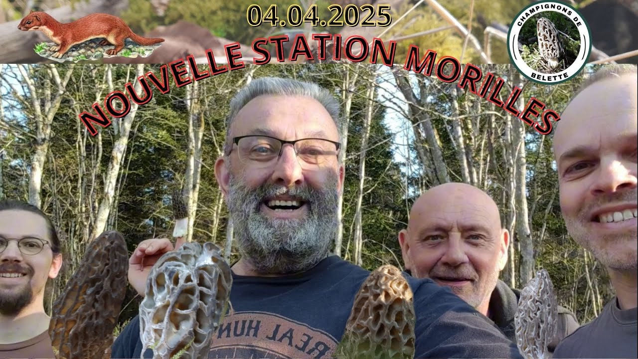 𝗠𝗢𝗥𝗜𝗟𝗟𝗘𝗦 𝗖𝗢𝗡𝗜𝗤𝗨𝗘 𝗡𝗢𝗨𝗩𝗘𝗟𝗟𝗘 𝗦𝗧𝗔𝗧𝗜𝗢𝗡 𝟬𝟰 𝟬𝟰 𝟮𝟬𝟮𝟱 🌲🍄🌳