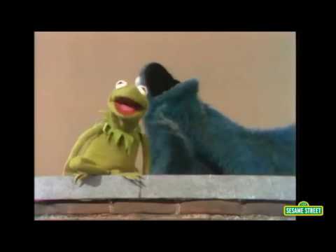 kermit-the-frog-meme