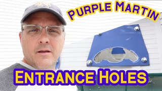 Purple Martin Bird House Entrance Hole Size and Shape Modification