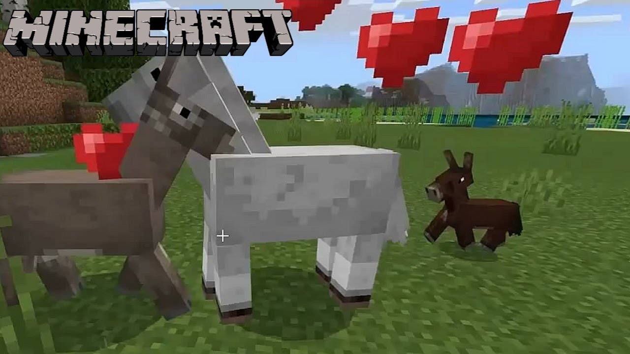 How To Breed A Horse And A Donkey In Minecraft