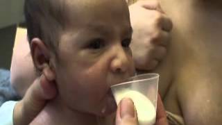 Care of Small Babies: Cup Feeding – Healthy Newborn Network