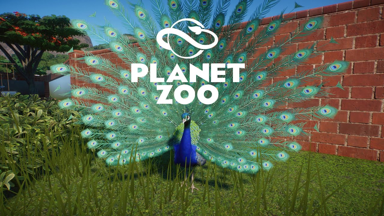 Планета Zoo Интернет Магазин