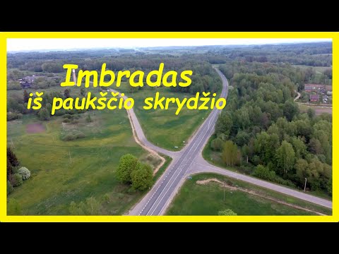 Imbradas iš paukščio