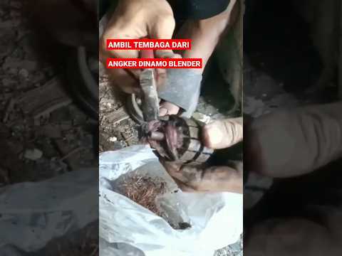 CARA MUDAH MENGAMBIL TEMBAGA DARI ANGKER DINAMO BLENDER. #shorts #caramudah #caracepat