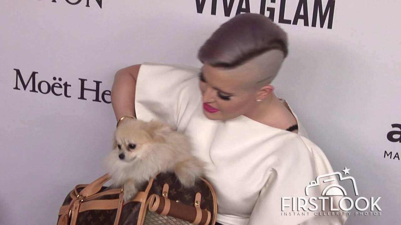 Kelly Osbourne at 7th Annual amfAR Inspiration Gala