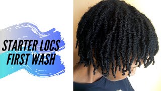 My starter locs first wash - Nique&#39;s Oasis