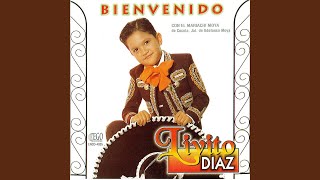Amigo