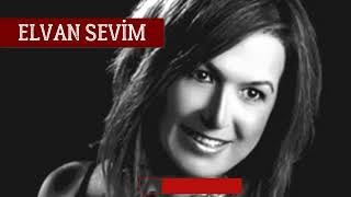 Elvan Sevi̇m Si̇garamin Dumani
