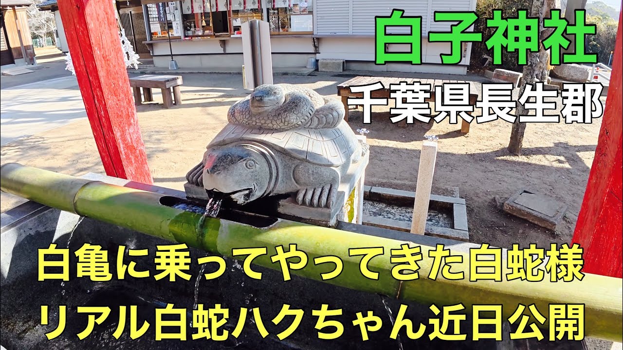 白子神社★千葉県長生郡　2026.2.5