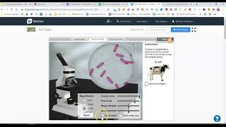 Microscope Gizmo Directions