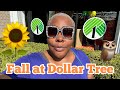 Dollar Tree Fall Walkthrough! #fall #fallhomedecor #falldecor #falldecorations