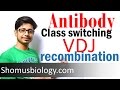 VDJ recombination | antibody class switching