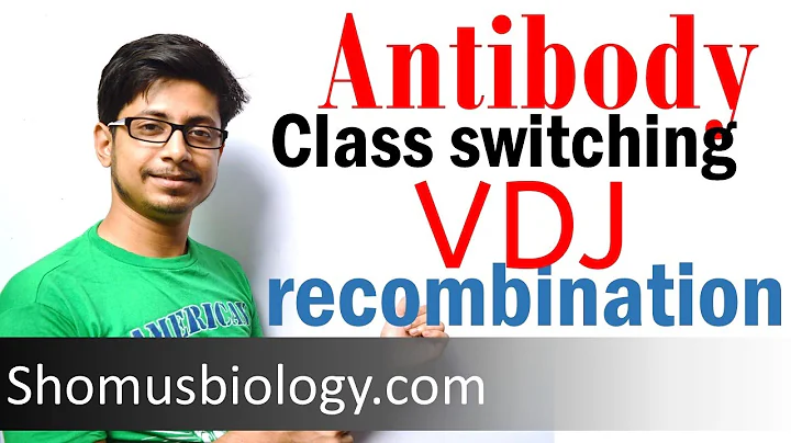 VDJ recombination | antibody class switching