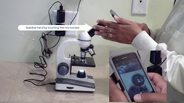 Taking microscope pictures with your phone.