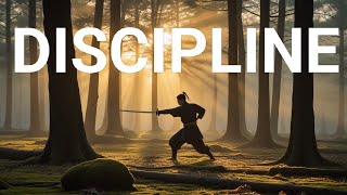 The Warrior’s Path: How Discipline Shapes Your Destiny Wealth