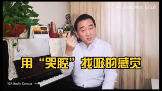 男高音歌唱家 刘斌 教你 如何贴着咽壁 “吸” 着唱