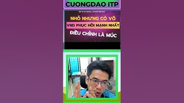 Cổ Phiếu VND: Cơ Hội Ngàn Vàng Hay Cái Bẫy Ngọt Ngào?