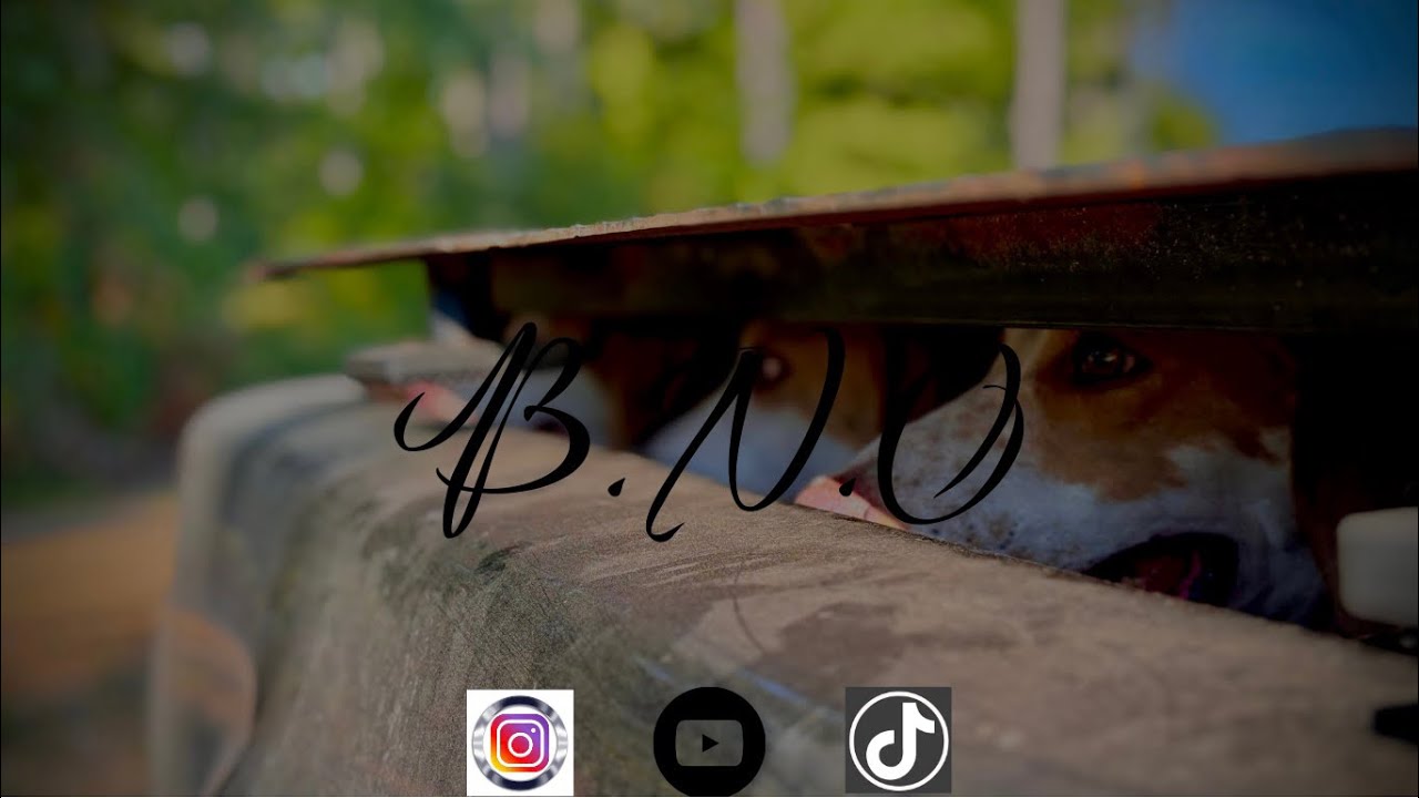 Second filmed hunt of the season deer hunting with dogs (sc)