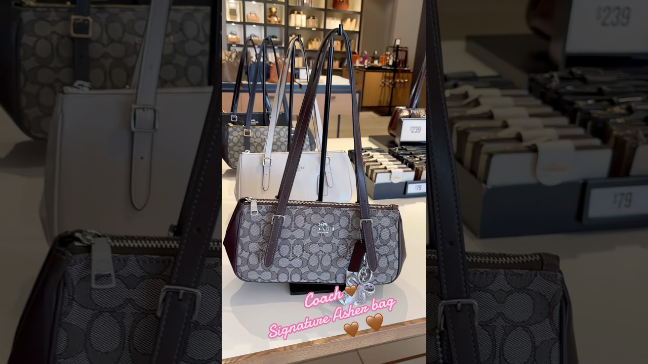 Coach Asher bag