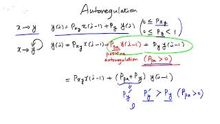 Autoregulation