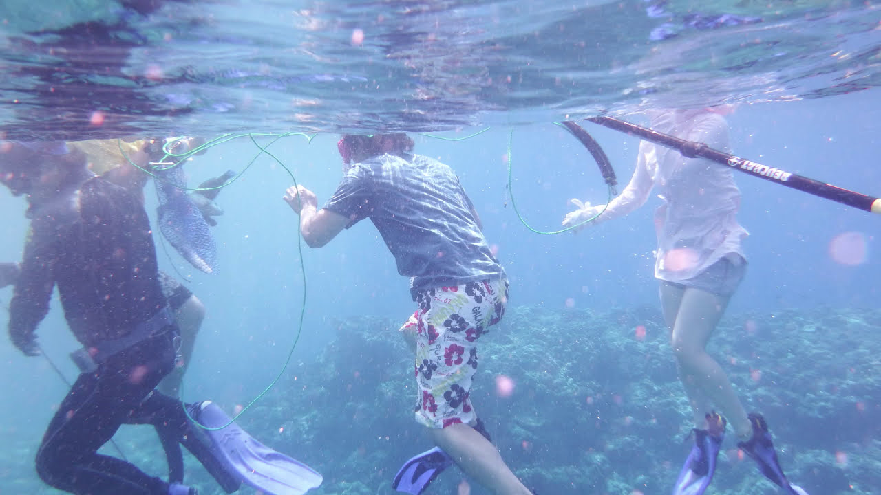 【沖永良部島】シュノーケリング＋水中銃体験 Part Ⅲ