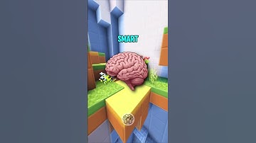 This Brainrot Quiz Is INSANE 😵 (PART 23) #brainrot #quiz #shorts