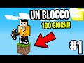 SPRAVVIVO PER 100 GIORNI IN UN SOLO BLOCCO ! - Minecraft ITA