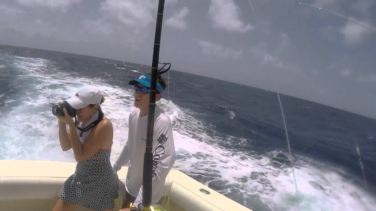 Blue Marlin Fishing St. Thomas 2015 YouTube