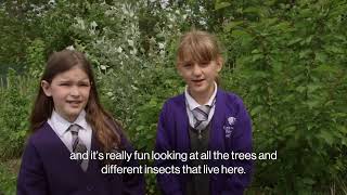 Tiny Forest x Schools with OVO Leicester