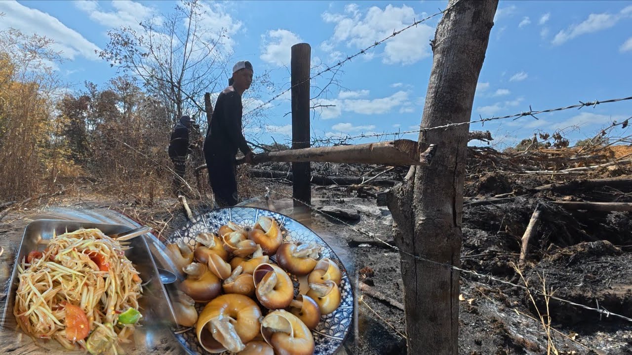 ຕົ້ມຫອຍເດື່ອກັບຕຳໝາກຫຸ່ງ | ต้มหอยเดื่อกับตำหมากหุ่ง