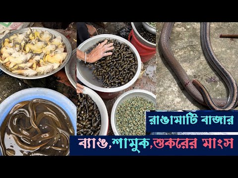 ভিডিও: নির্মাতার উদ্ঘাটন: মিডিয়া কীভাবে মিথ্যা মনোভাব স্থাপন করে