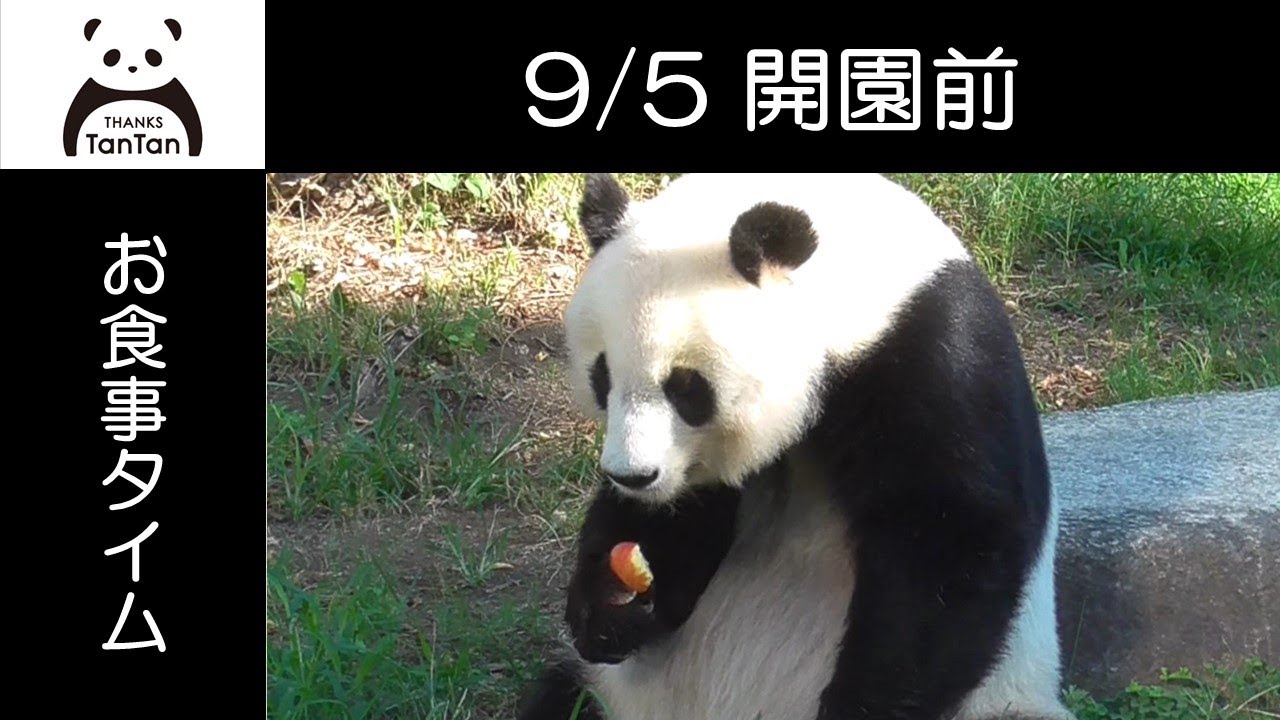 9/5開園前のお外