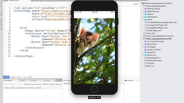 Coding with Luce - Quick design trick in Xamarin.Forms